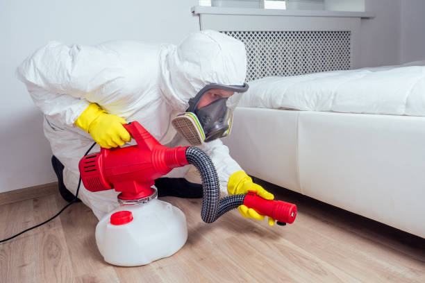 Best Indoor Pest Control  in Leander, TX